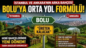Hobi bahçelerinde yeni dönem: İstanbul ve Ankara’nın arka bahçesi Bolu’da gözler orta yol formülünde