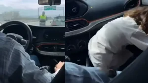 Eğitimli kedim dedi polise miyavlattı! Bolu’da trafik çevirmesinde araçta kaçak yolcu taktiği!